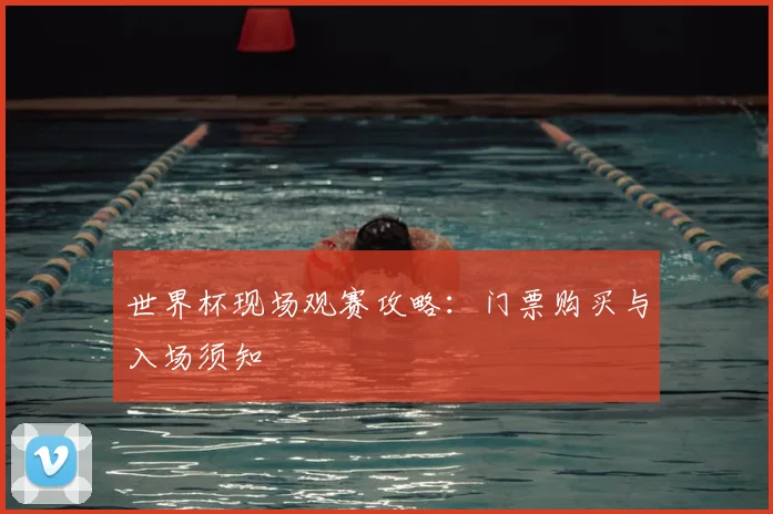 世界杯现场观赛攻略:门票购买与入场须知