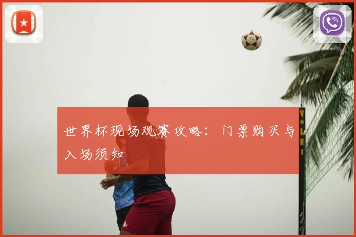 世界杯现场观赛攻略:门票购买与入场须知